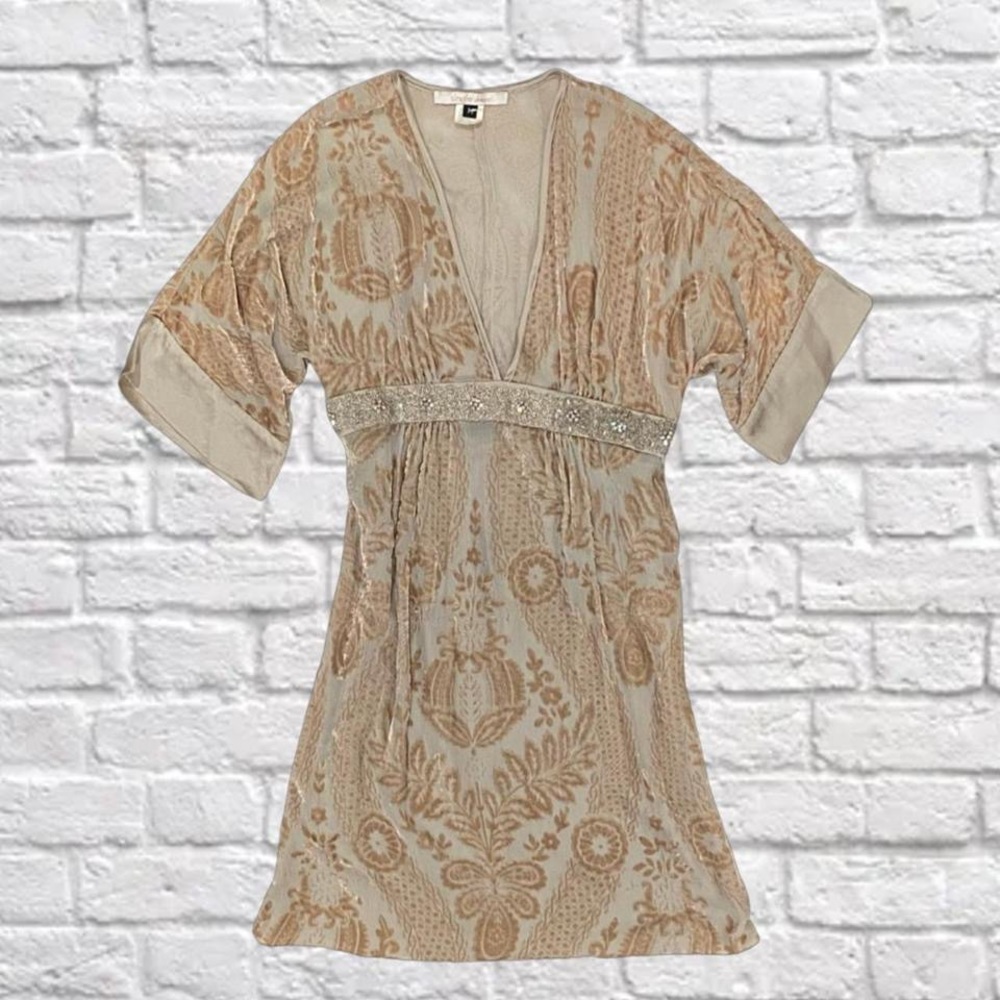 Vintage Fairycore Silk And Velvet Mini Dress